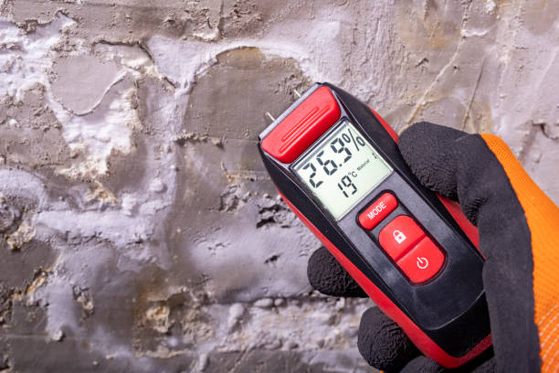 Best Affordable Mold Removal  in Sellersburg, IN