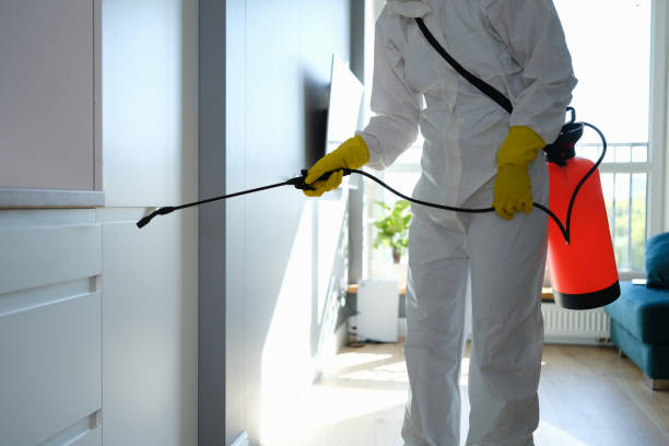 Best Office Mold Removal Services  in Sellersburg, IN